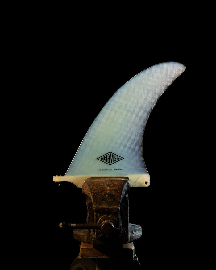 Bluebird Fin