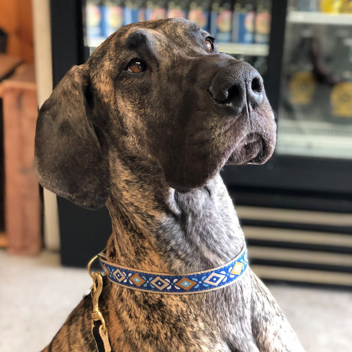 AZTEC-DOG-COLLAR-LEASH-HARNESS