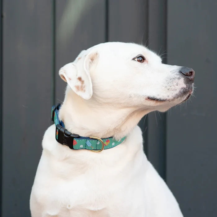 Teacup Harness | Pickleball