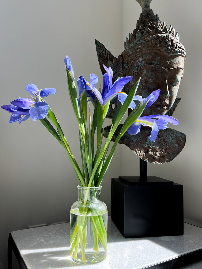 glass bottle vase