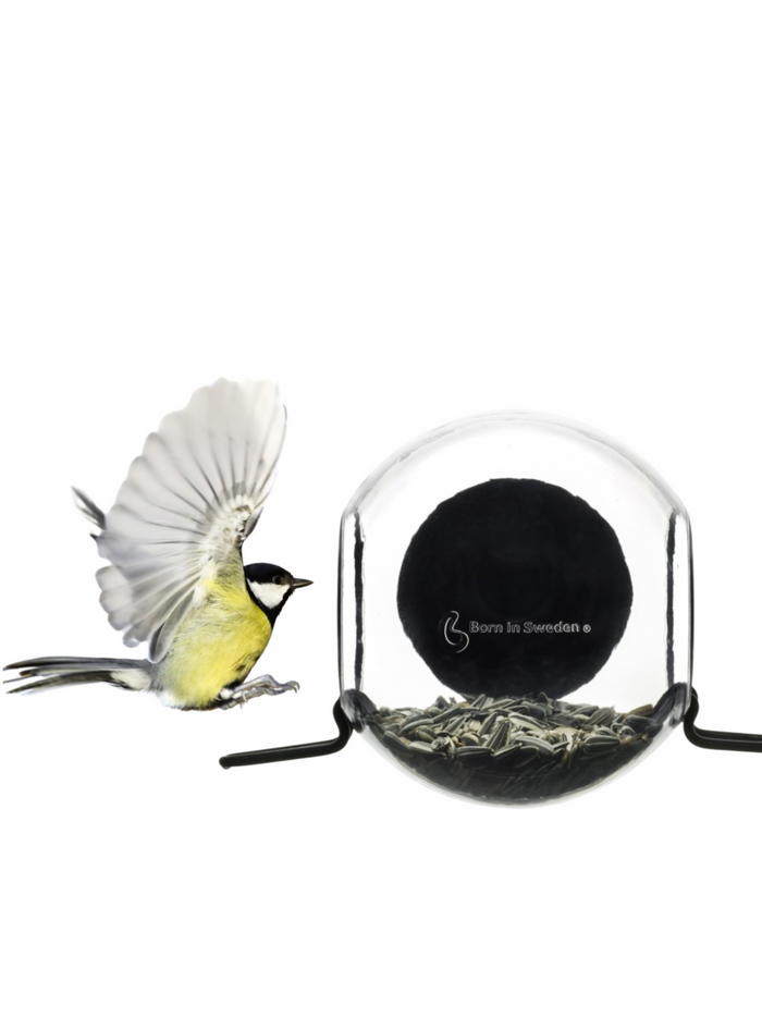 Bird Feeder
