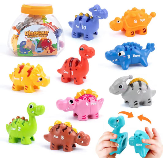 Dinosaur Matching Game 10pc