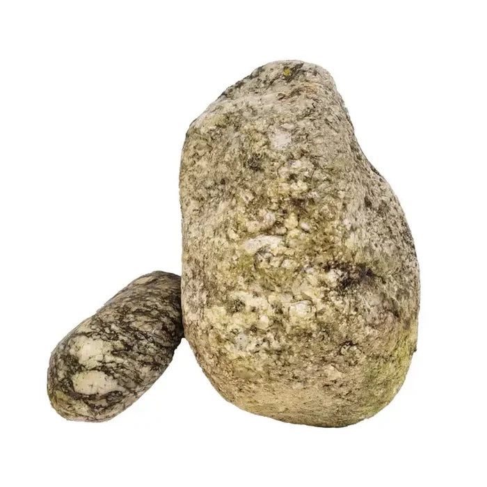 Weathered Elderly Boulder river rock in mottled gray and beige
