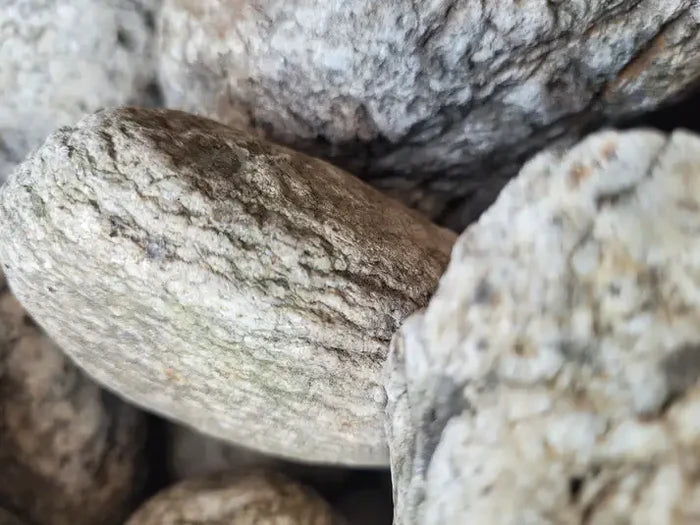 Elderly Boulder: smooth light gray river rock with textured surface and brownish streaks