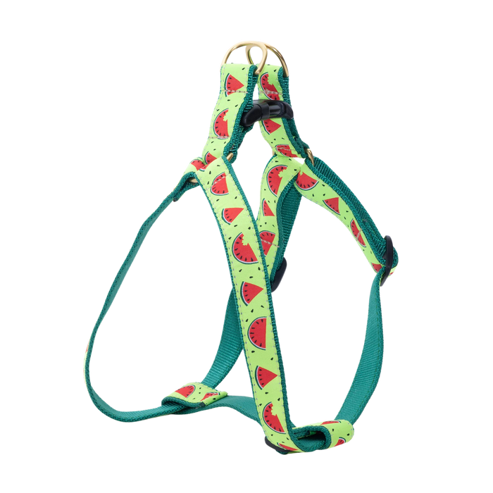 Harness | One In A Melon