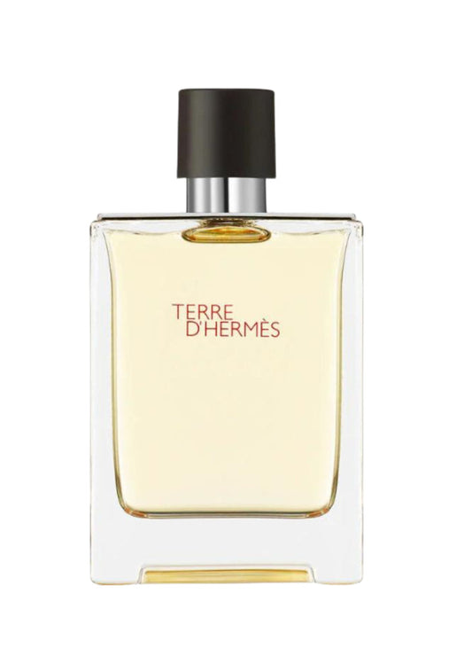 Hermes Terre D'Hermes EDT 100ML