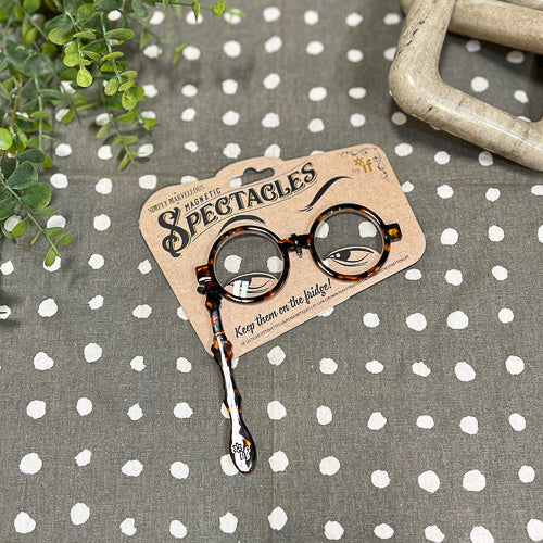 Magnetic Spectacles
