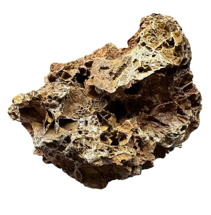 Maple Leaf Rock: rugged porous brown and beige textured surface