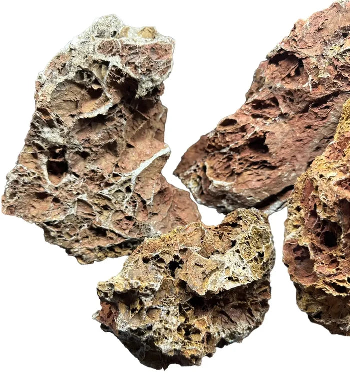 Irregularly shaped porous Maple Leaf Rock in red and brown tones
