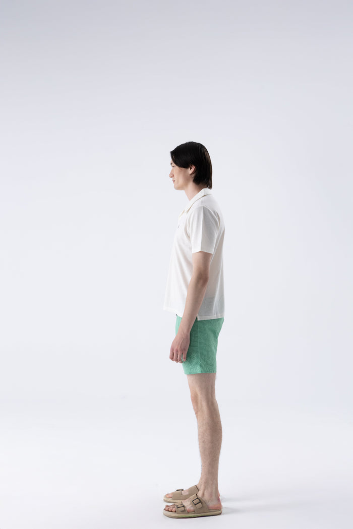 #color_subtle white
