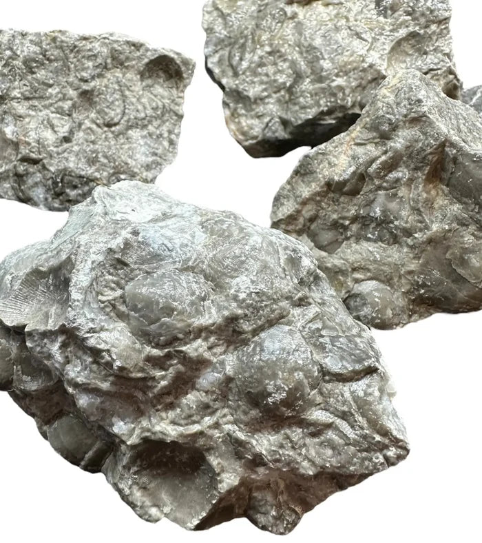 Sunk Jade Rock: irregular gray fragments with rough texture and mineral veining